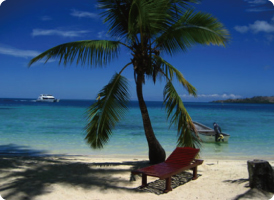 Air Niugini