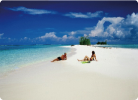 Air Niugini