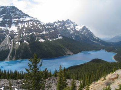 peyto lake 0610.jpg