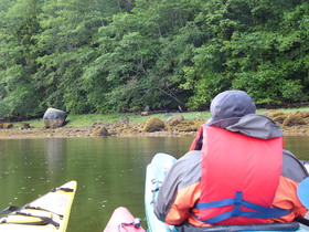 kayak&bear.JPGのサムネール画像