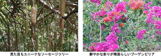 110428_hwi04.jpg