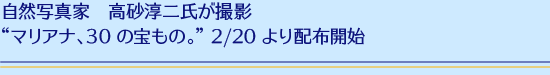 Rʐ^Ɓ@~񎁂Be }AiA30́̕B 2/13zzJn
