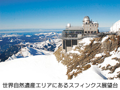 世界自然遺産エリアにあるスフィンクス展望台