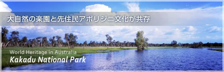 カカドゥ国立公園