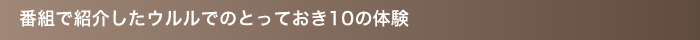 $BHVAH$G>R2p$7$?%&%k%k$G$N$H$C$F$*$-(B10$B$NBN83(B