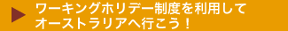 $B%o!<%-%s%0%[%j%G!<@)EY$rMxMQ$7$F%*!<%9%H%i%j%